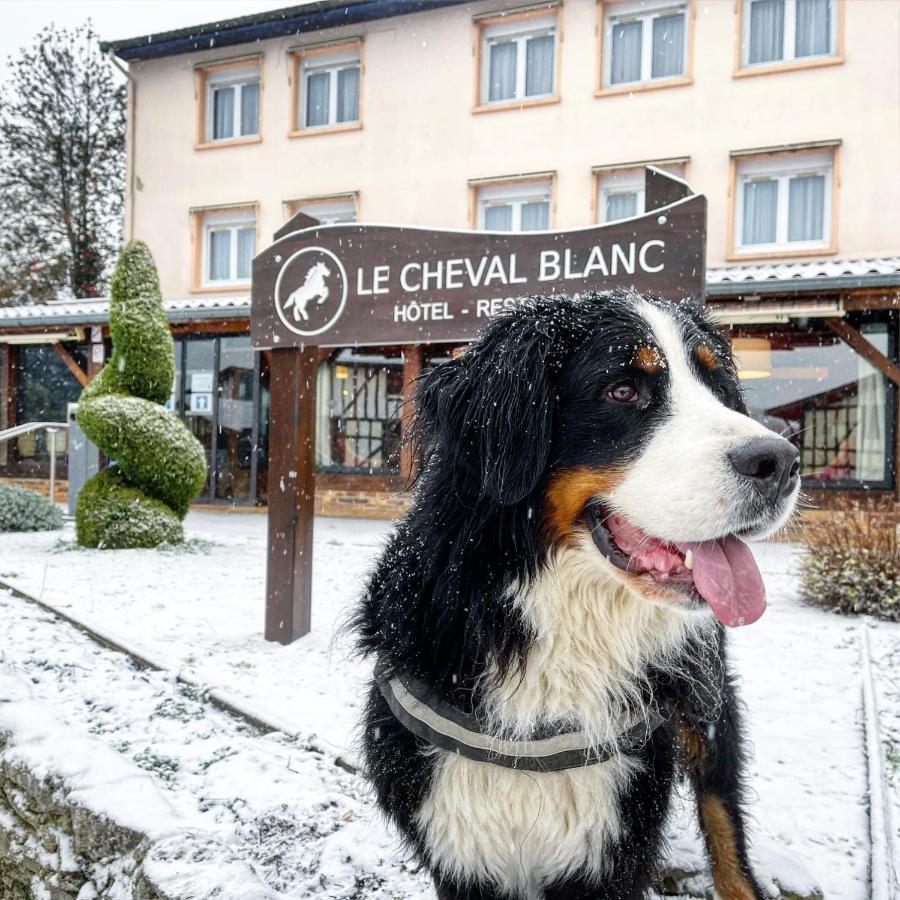 Le Cheval Blanc - Lac Du Der - Logis Hotel Giffaumont-Champaubert Εξωτερικό φωτογραφία